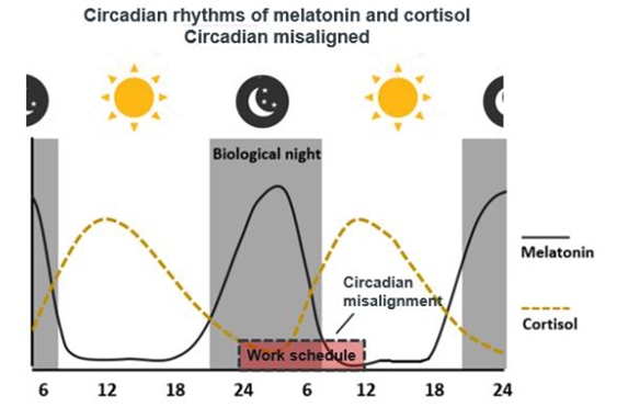 melatonin giúp trẻ ngủ ngon